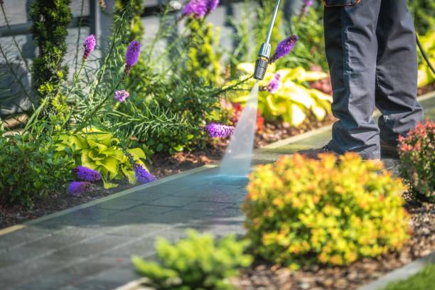 Trusted Santa Rosa, CA Pressure Washing Services Experts